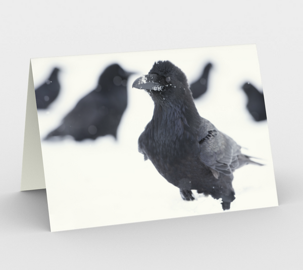 Raven Greeting Card, 5x7 -  My Flock