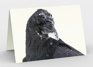 Greeting Cards - Ravens