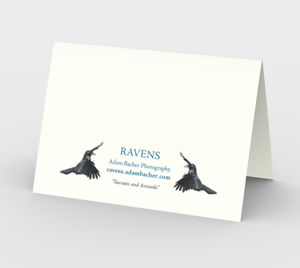 Raven Greeting Card, 5x7 - Socrates and Aristotle