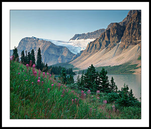 Limited ed. Nature Print - View from Banff Jasper Hwy, B.C., Canada