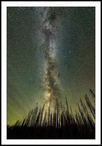 Limited ed. Nature Print - Milky Way Through Trees, OR